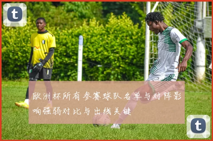 欧洲杯所有参赛球队名单与对阵影响强弱对比与出线关键