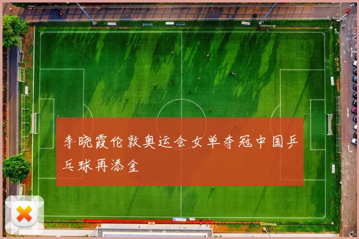 李晓霞伦敦奥运会女单夺冠中国乒乓球再添金