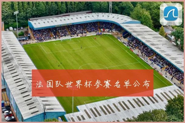 法国队世界杯参赛名单公布