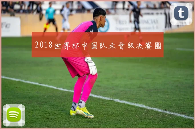 2018世界杯中国队未晋级决赛圈