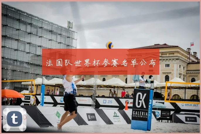 法国队世界杯参赛名单公布